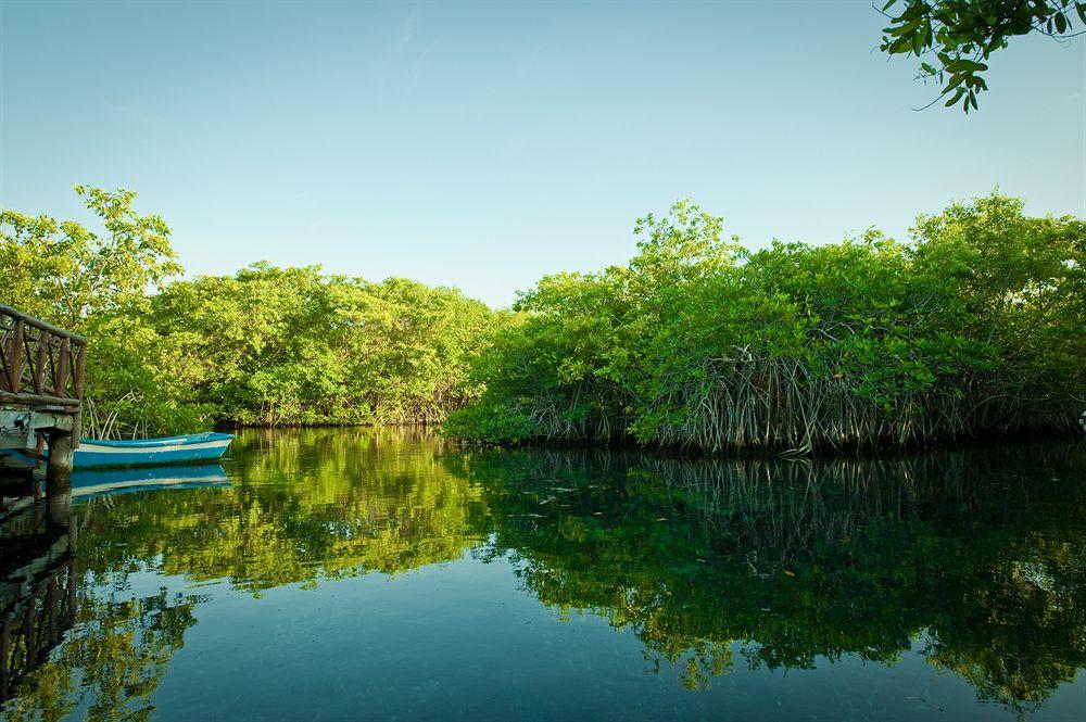 Bel Air Collection Resort & Spa Riviera Maya Xpu Ha Ngoại thất bức ảnh